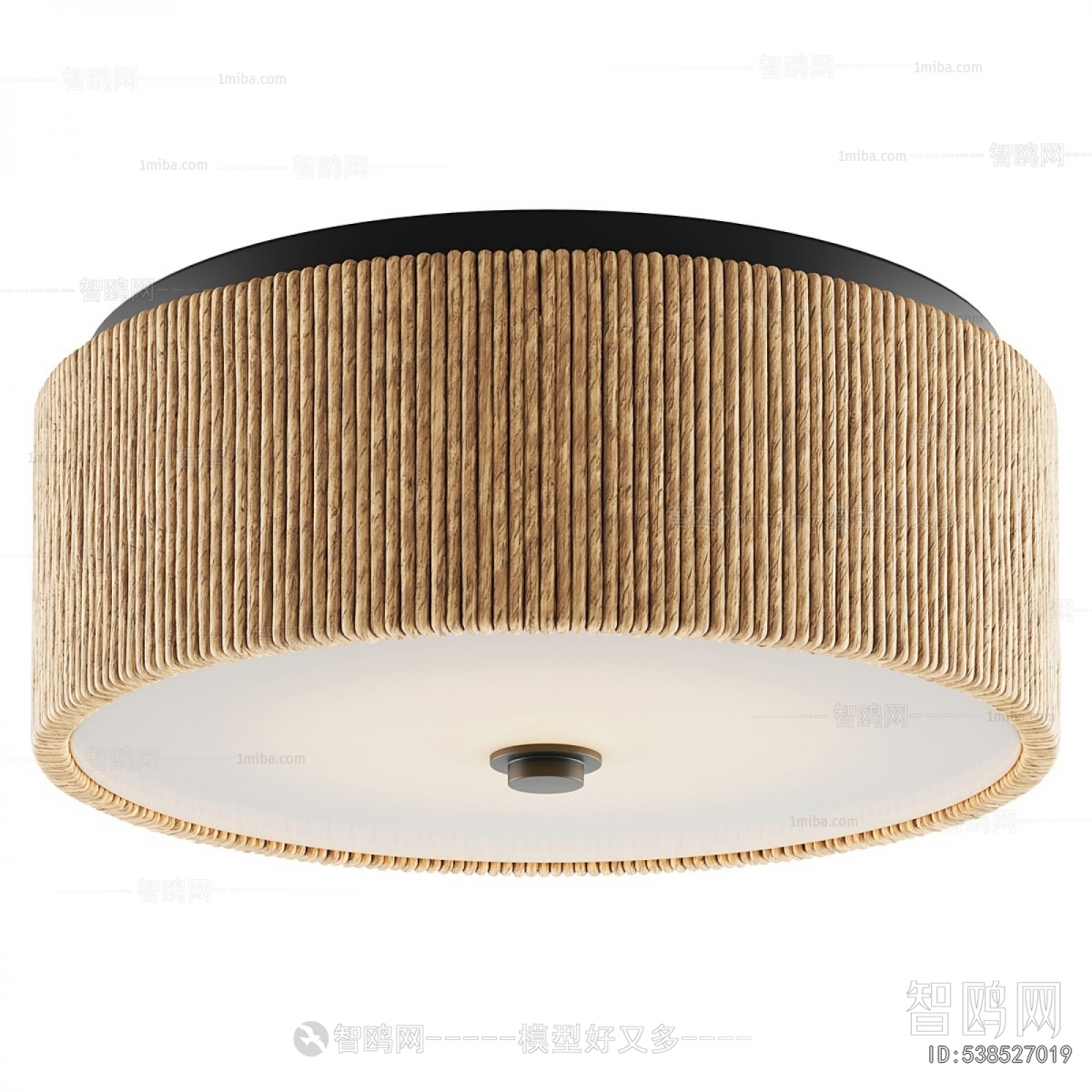 Modern Ceiling Ceiling Lamp