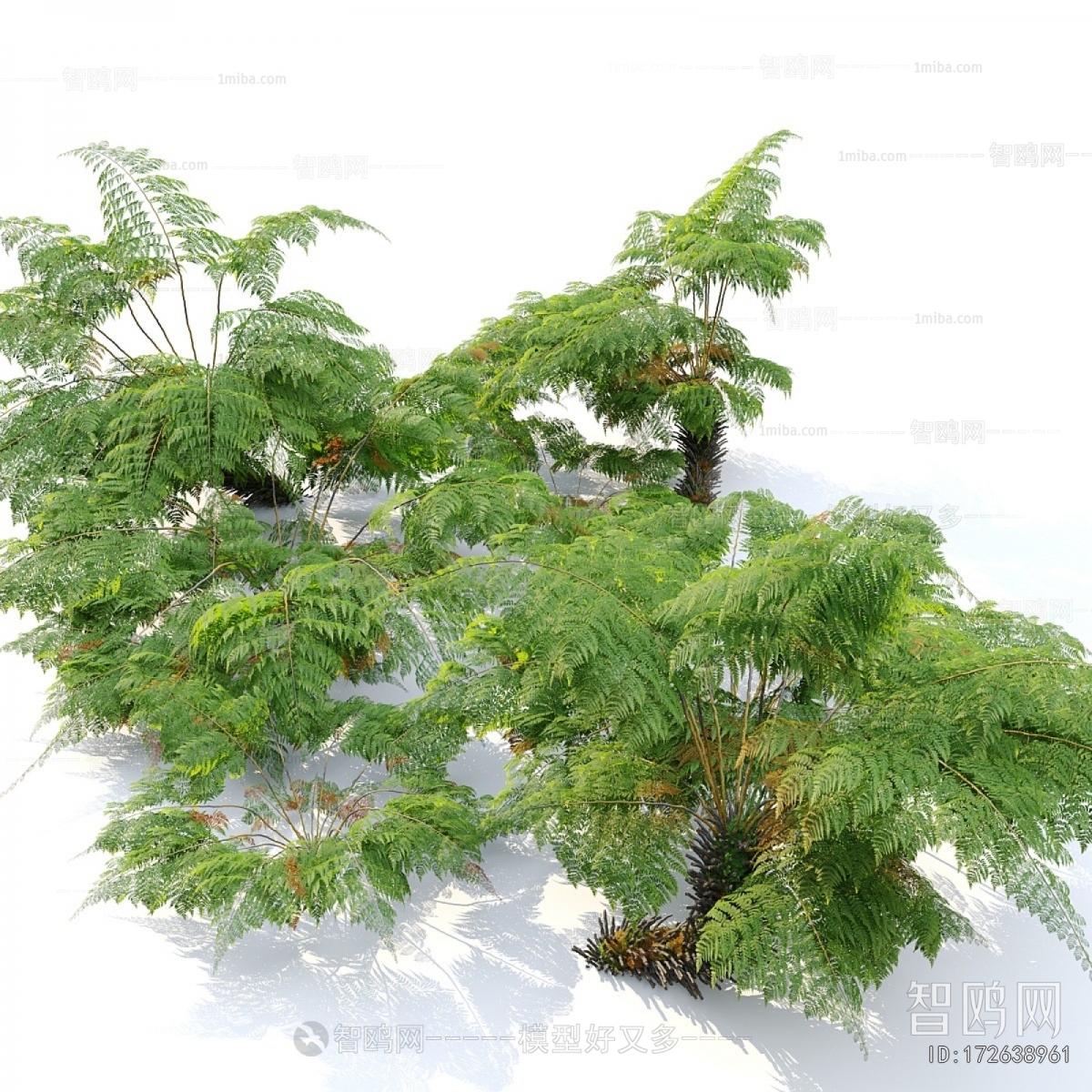 Modern Tree/shrub/grass