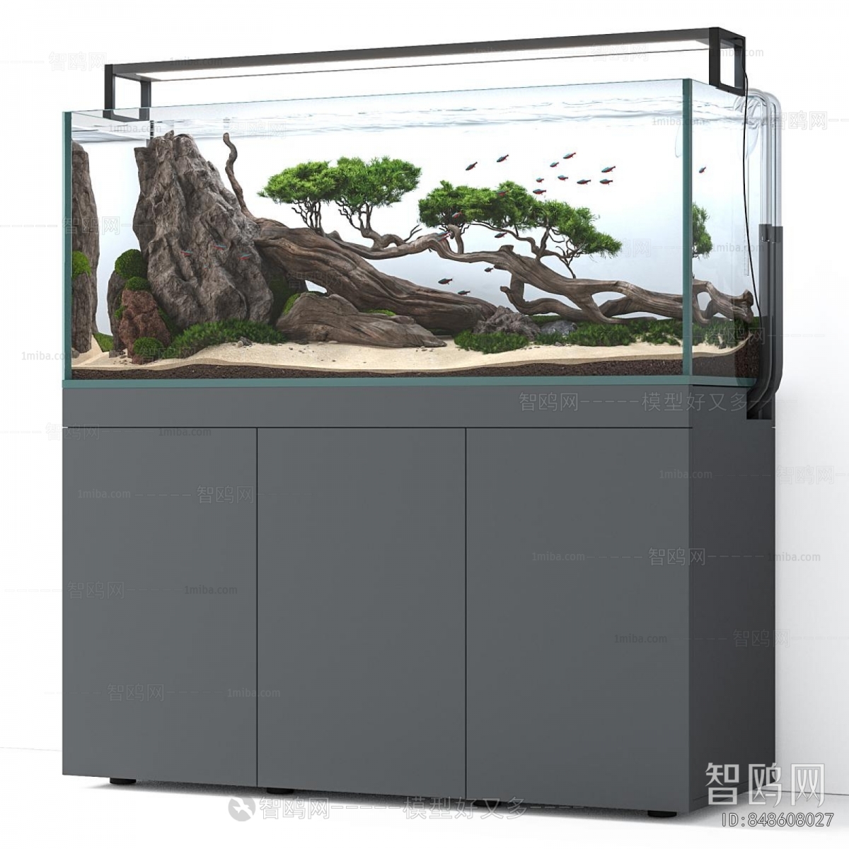 Modern Fish Tank