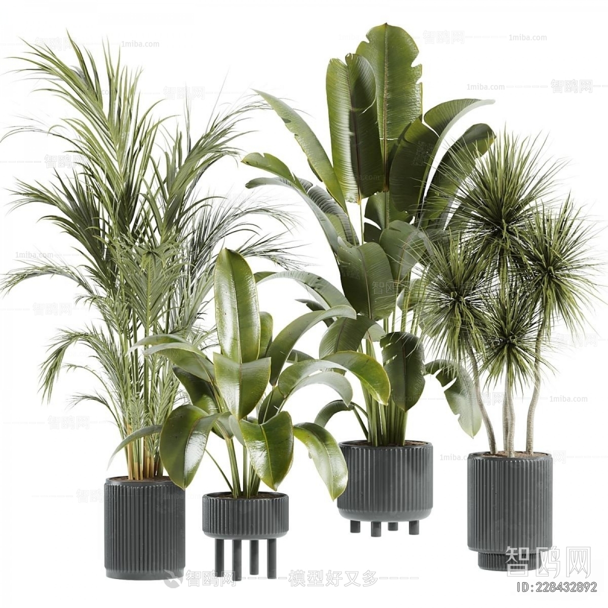Modern Ground Green Plant Potted Plants