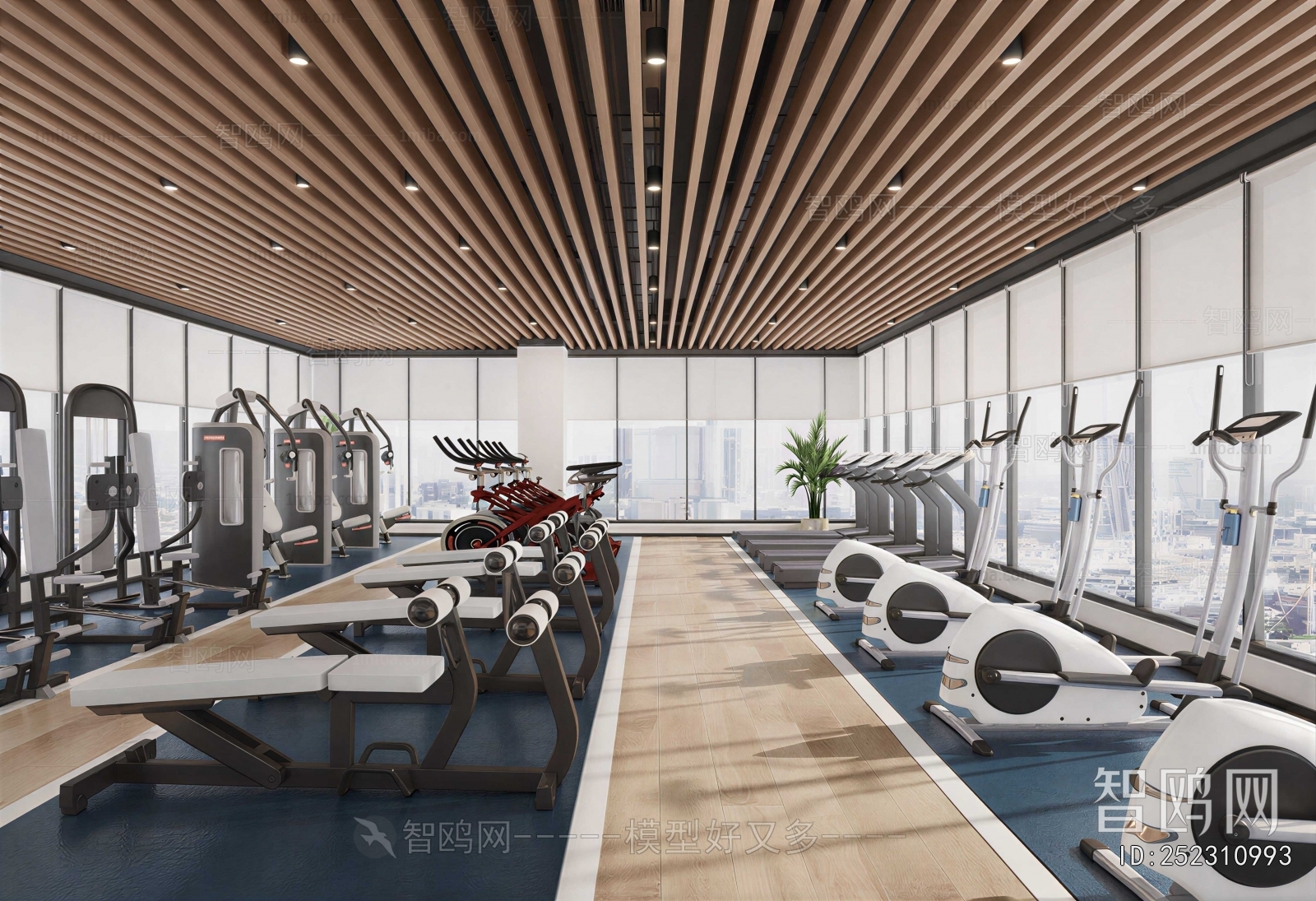 Modern Gym