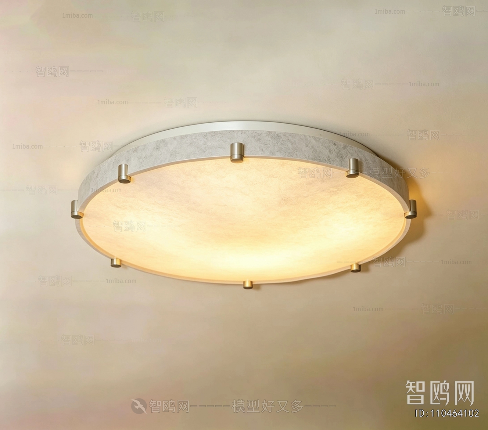 Modern Ceiling Ceiling Lamp