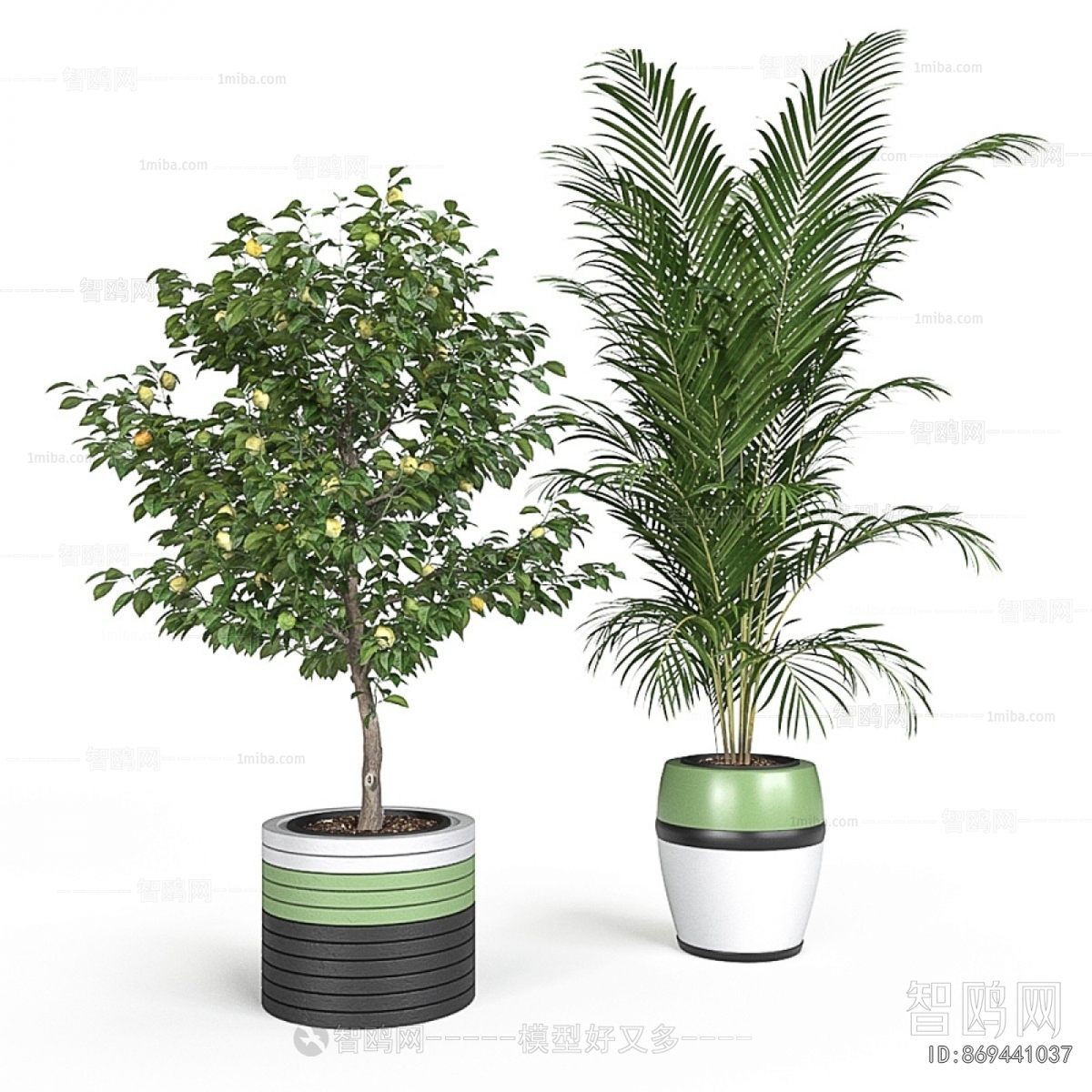 Modern Ground Green Plant Potted Plants
