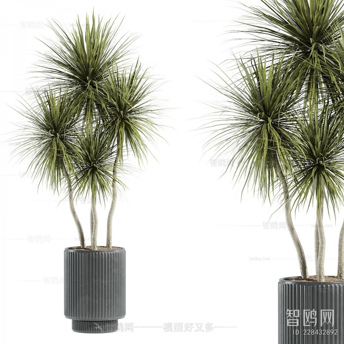 Modern Ground Green Plant Potted Plants