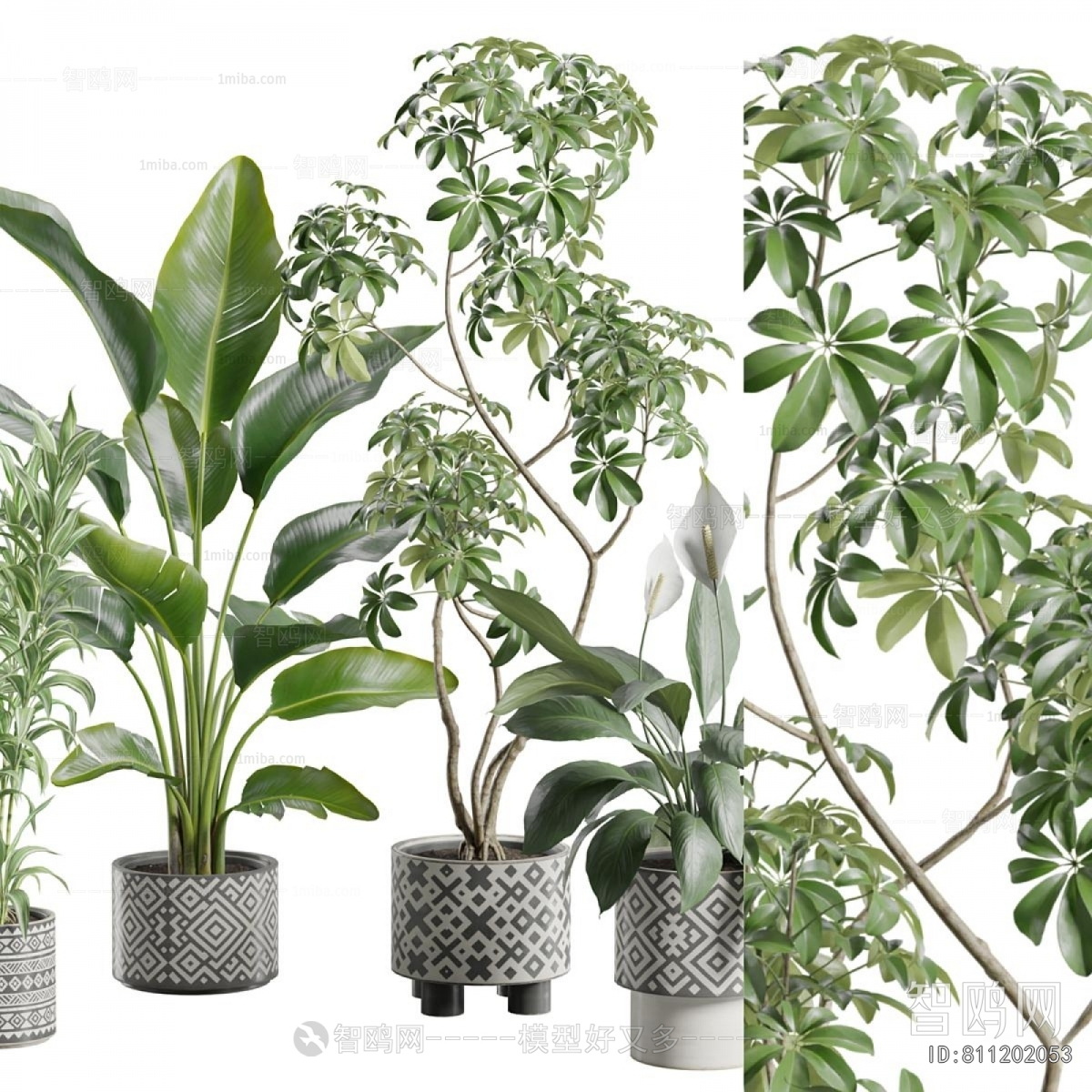 Modern Ground Green Plant Potted Plants