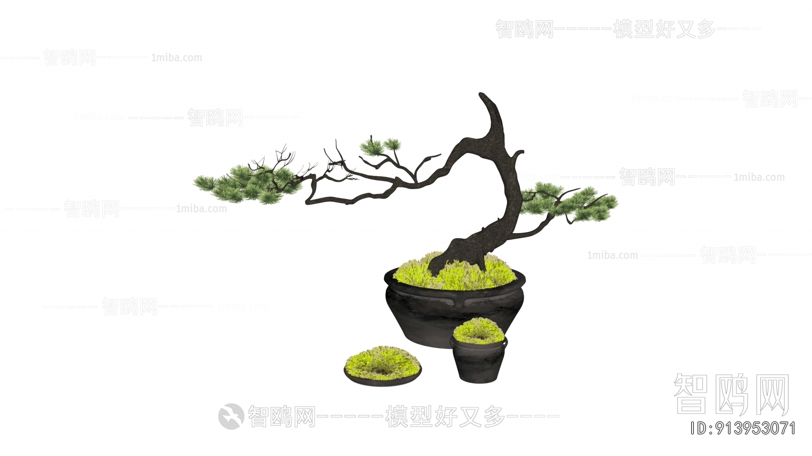 Modern Bonsai