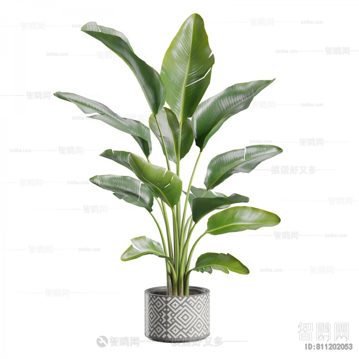 Modern Ground Green Plant Potted Plants