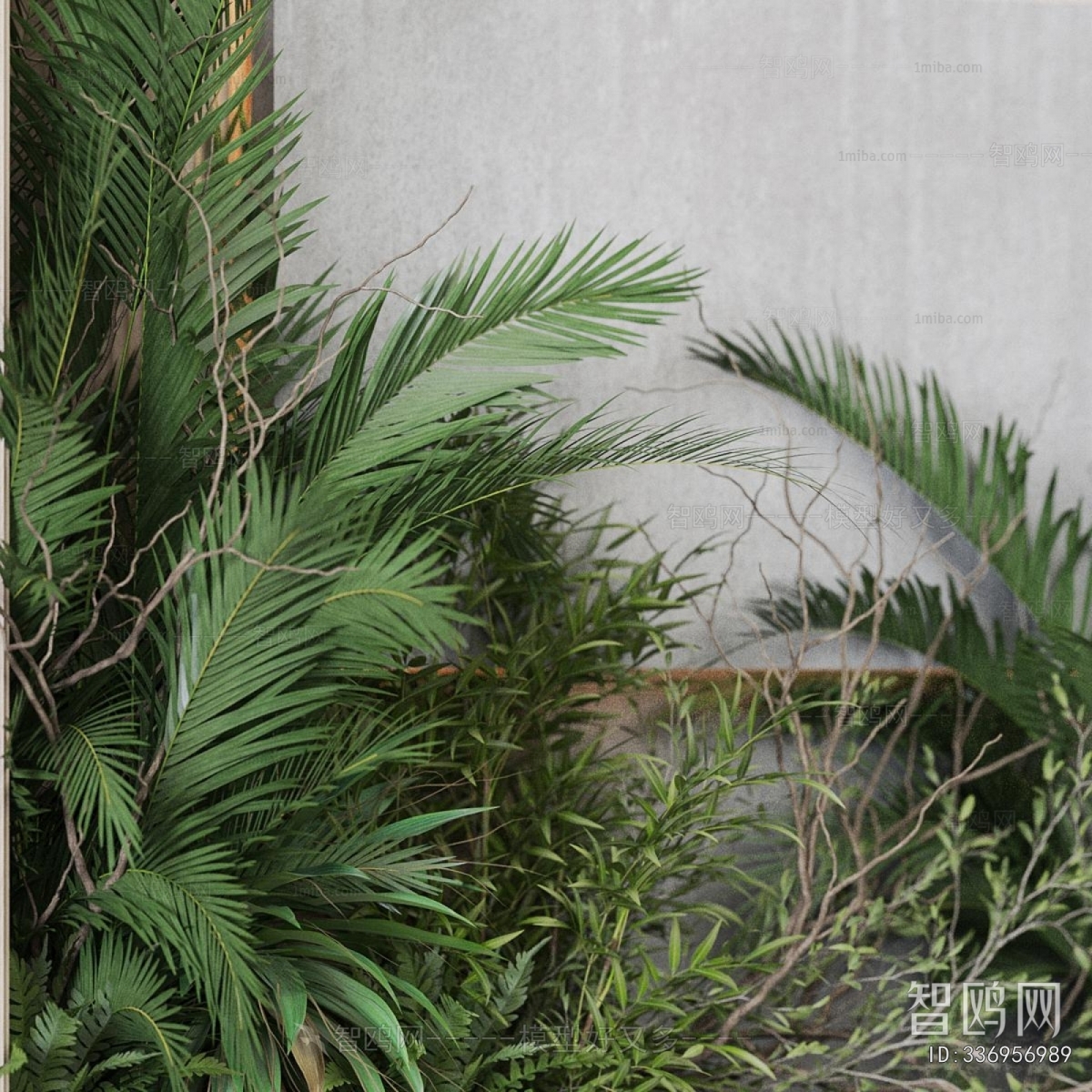 Modern Plant Landscaping