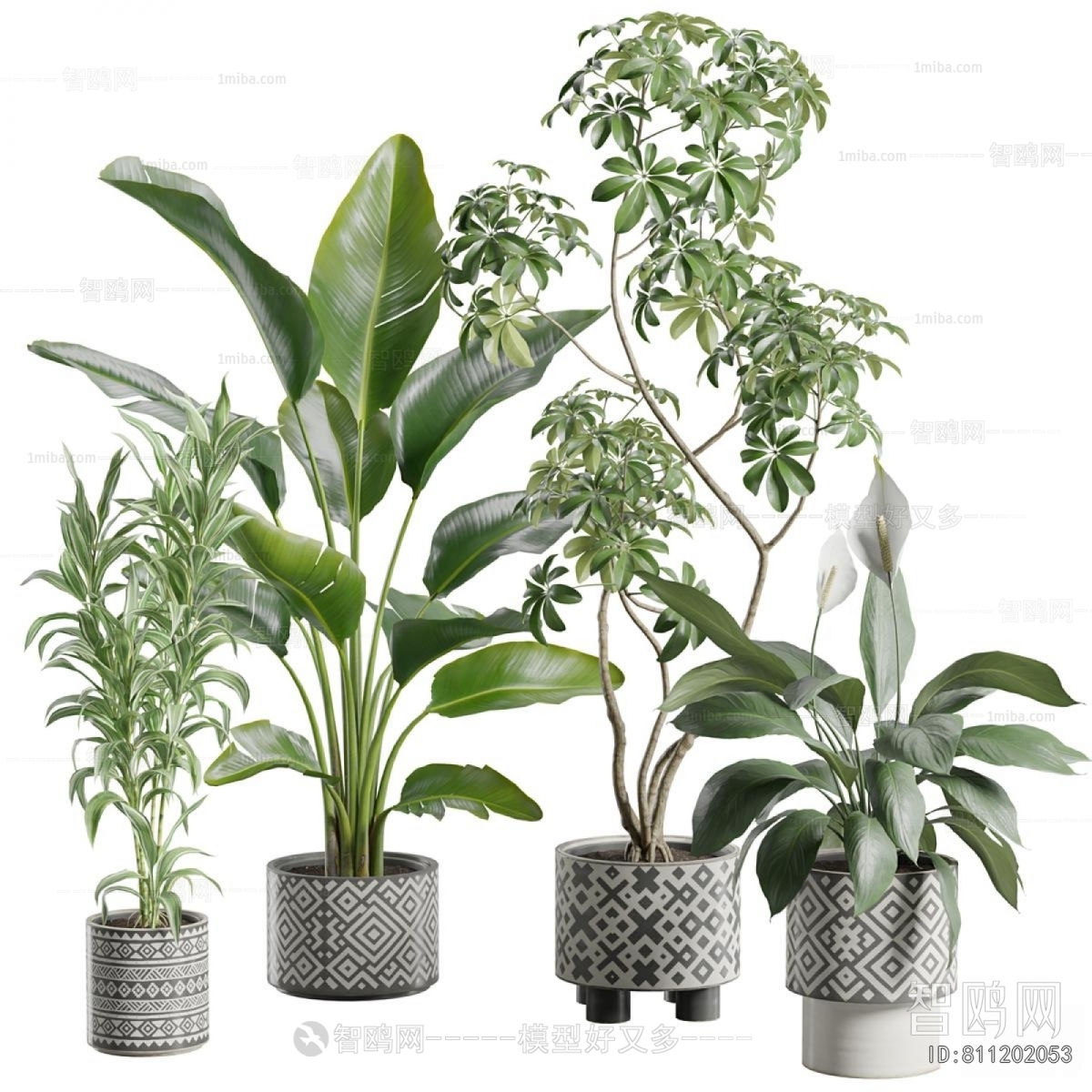 Modern Ground Green Plant Potted Plants