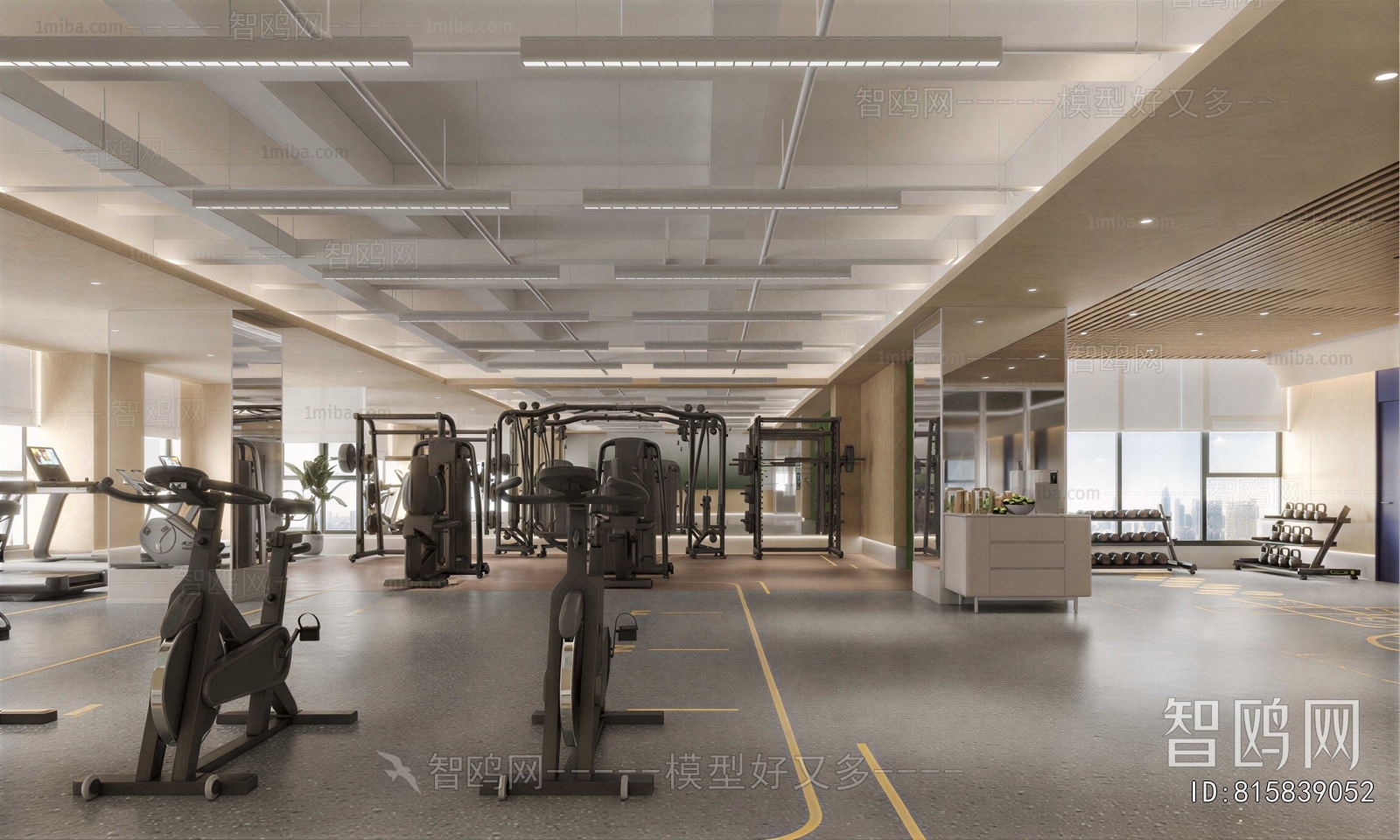 Modern Gym