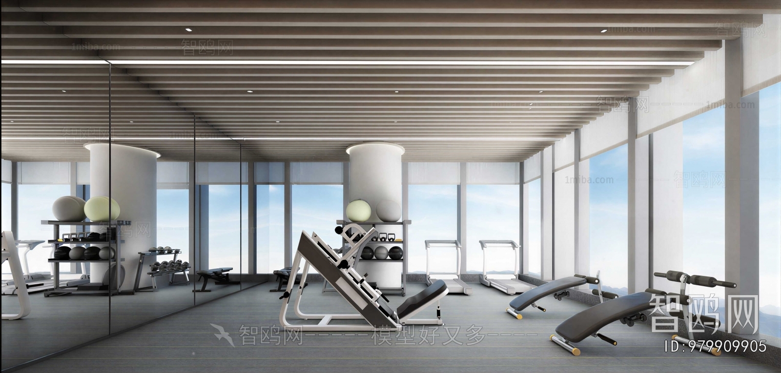 Modern Gym