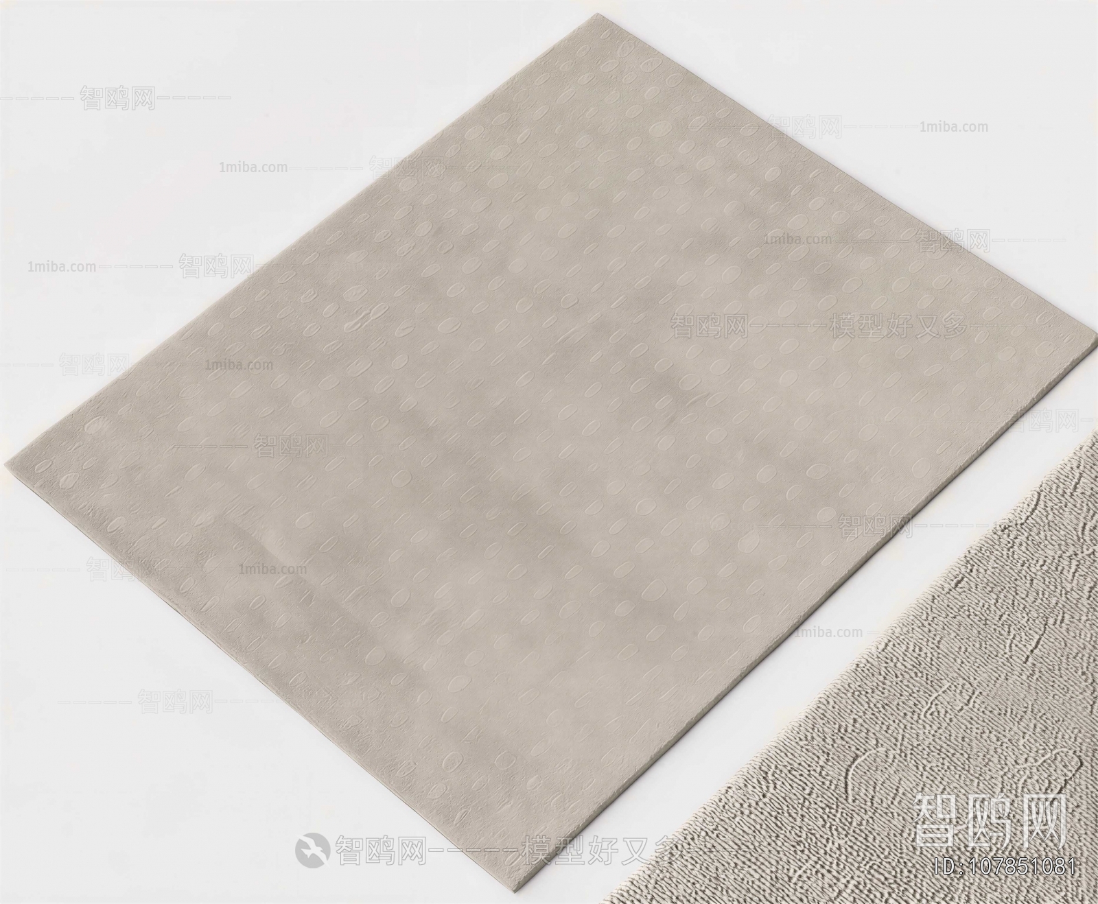 Modern The Carpet