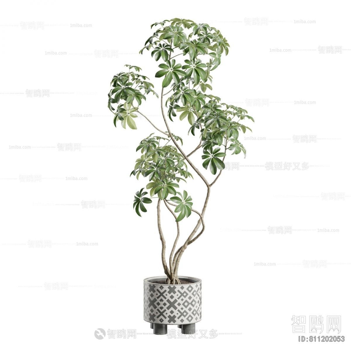 Modern Ground Green Plant Potted Plants