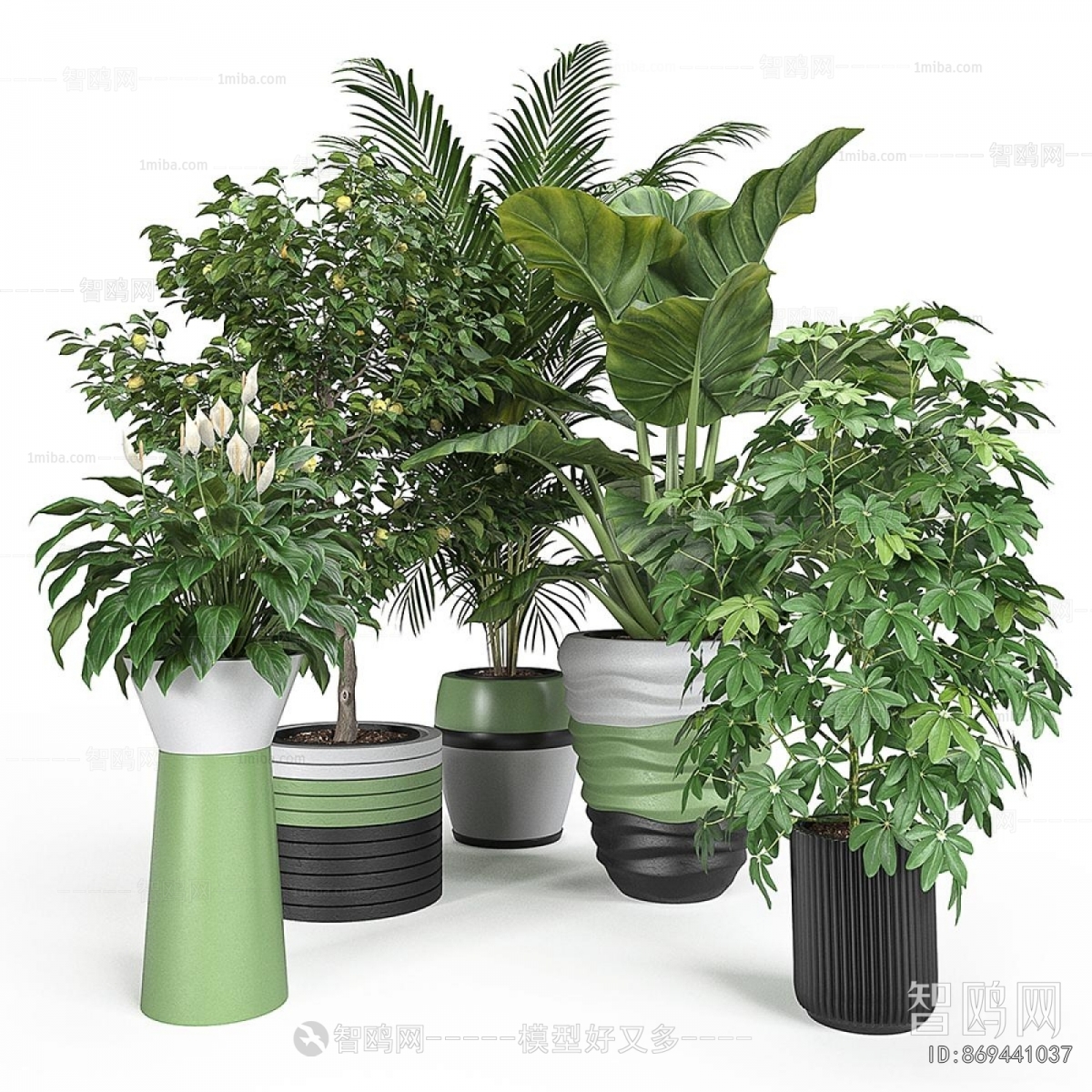 Modern Ground Green Plant Potted Plants