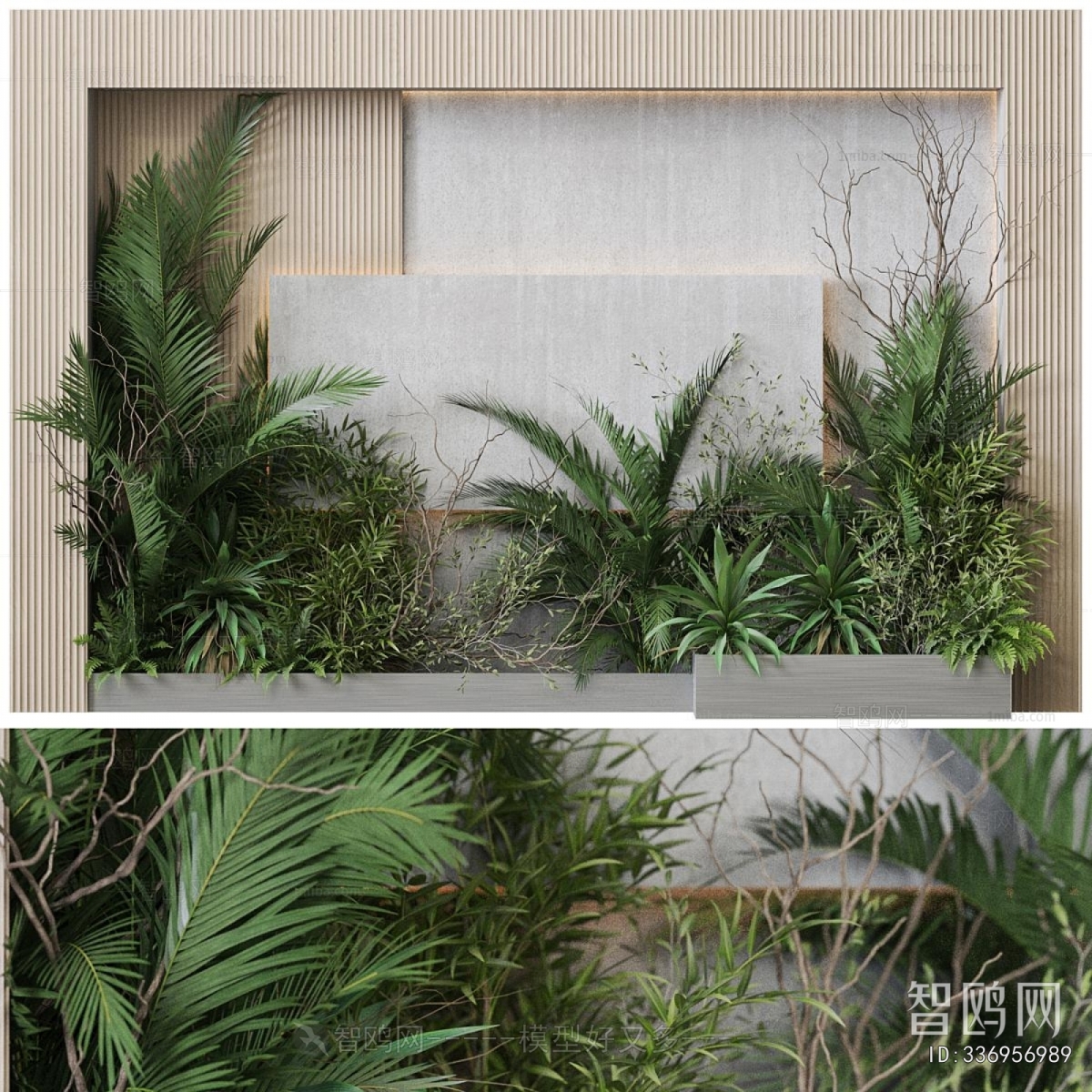 Modern Plant Landscaping