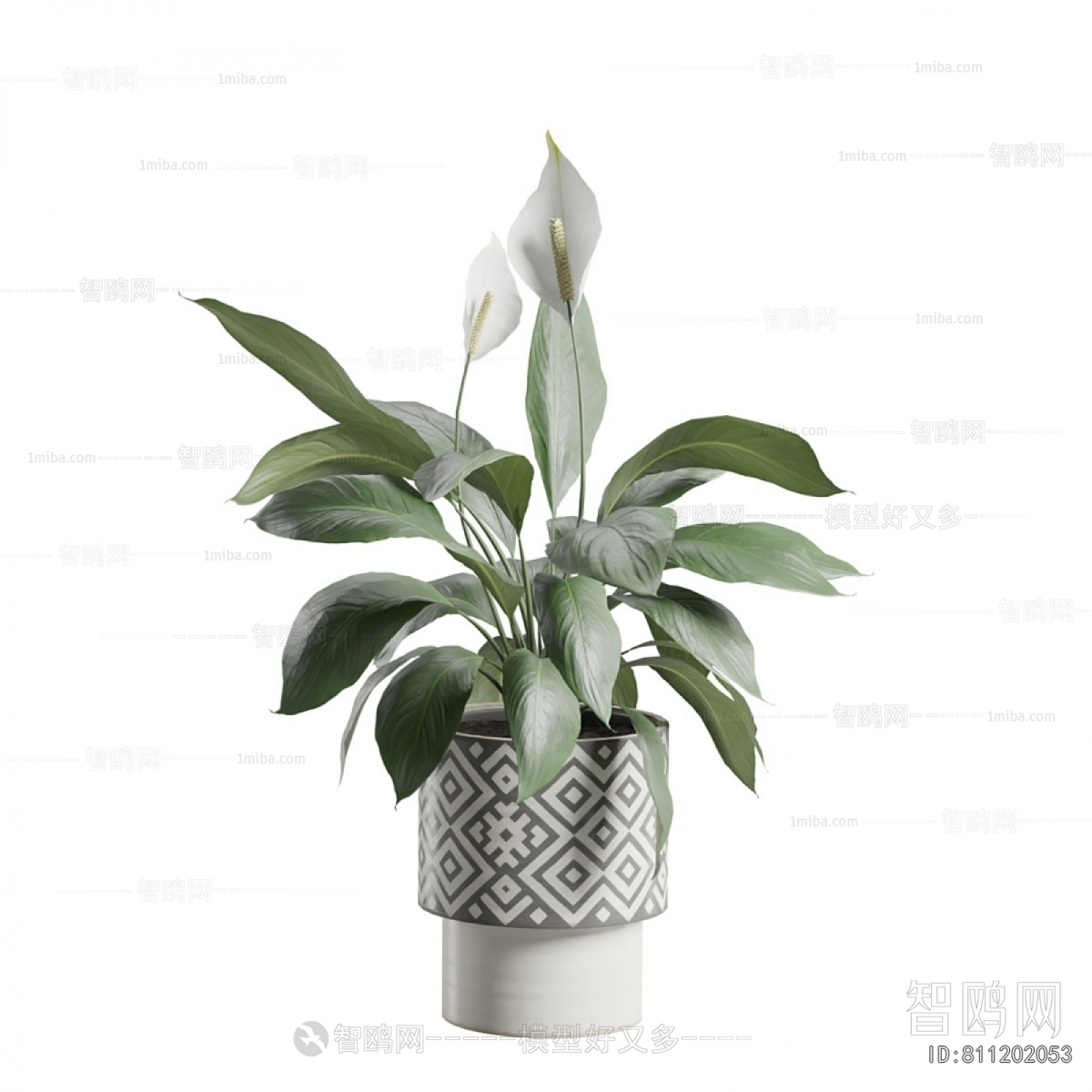 Modern Ground Green Plant Potted Plants