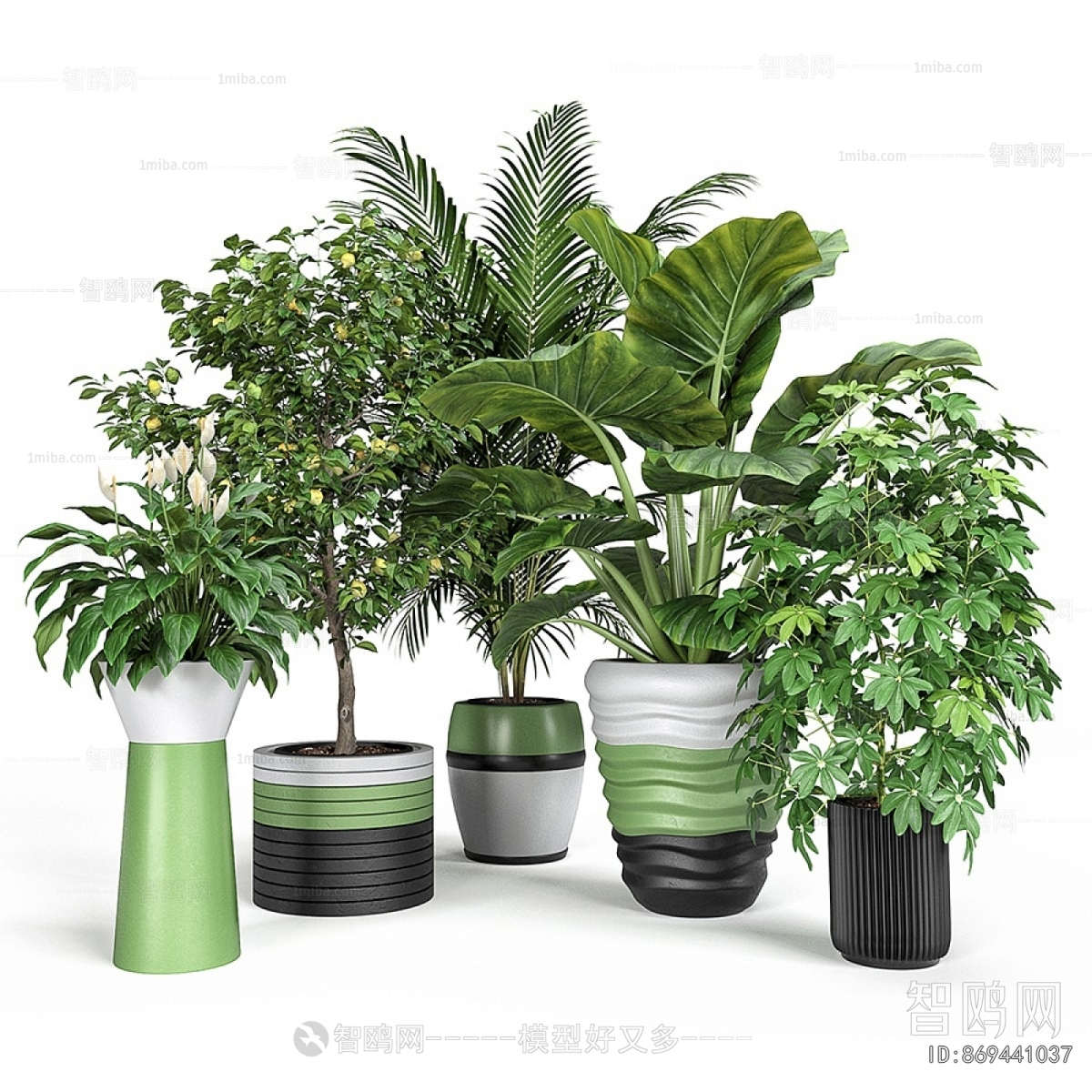 Modern Ground Green Plant Potted Plants