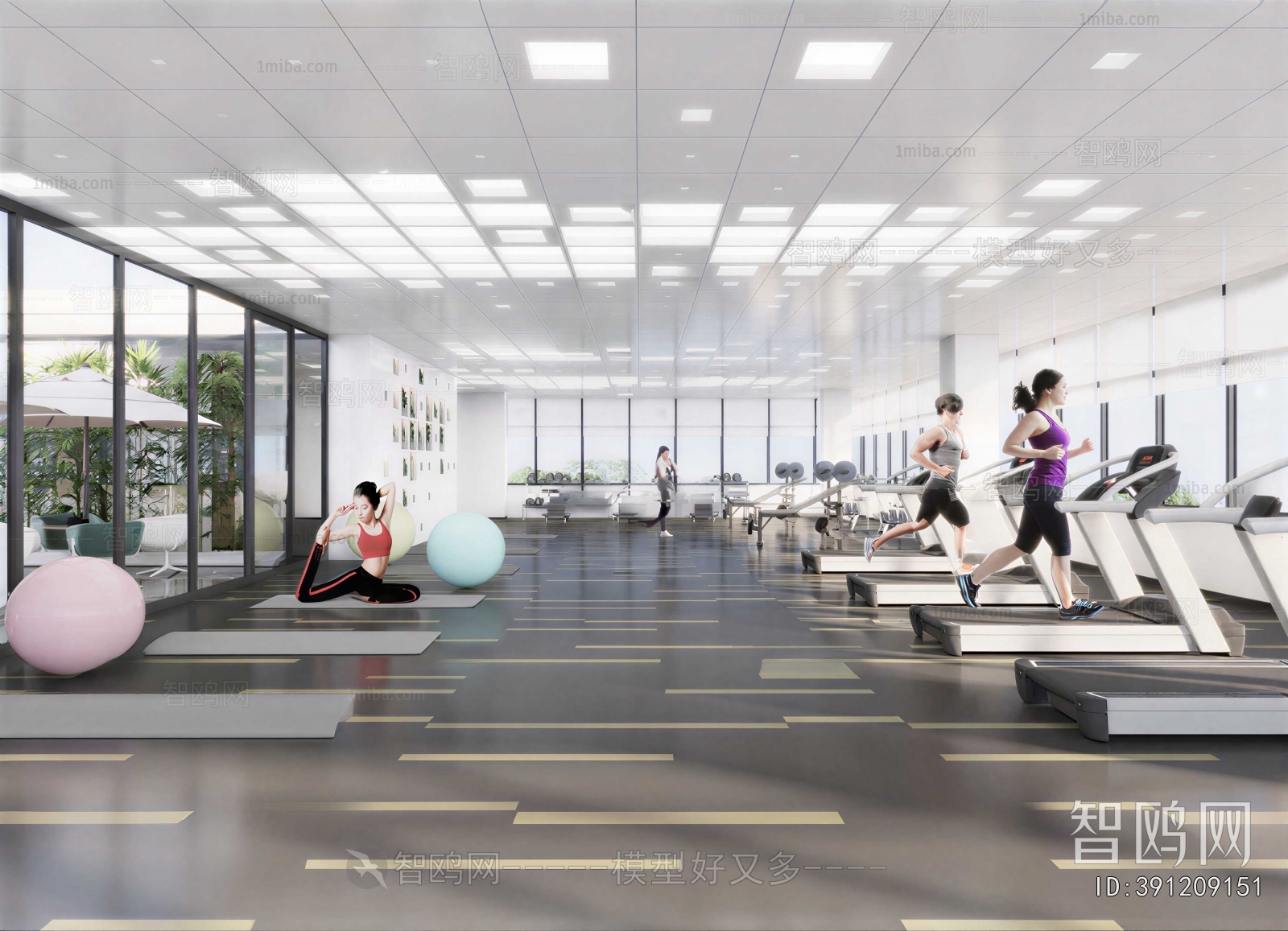 Modern Gym