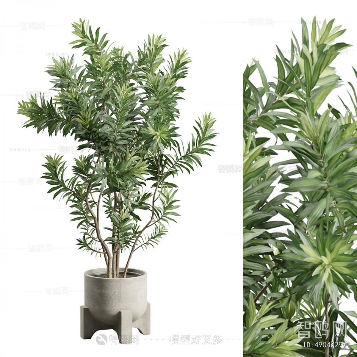 Modern Ground Green Plant Potted Plants