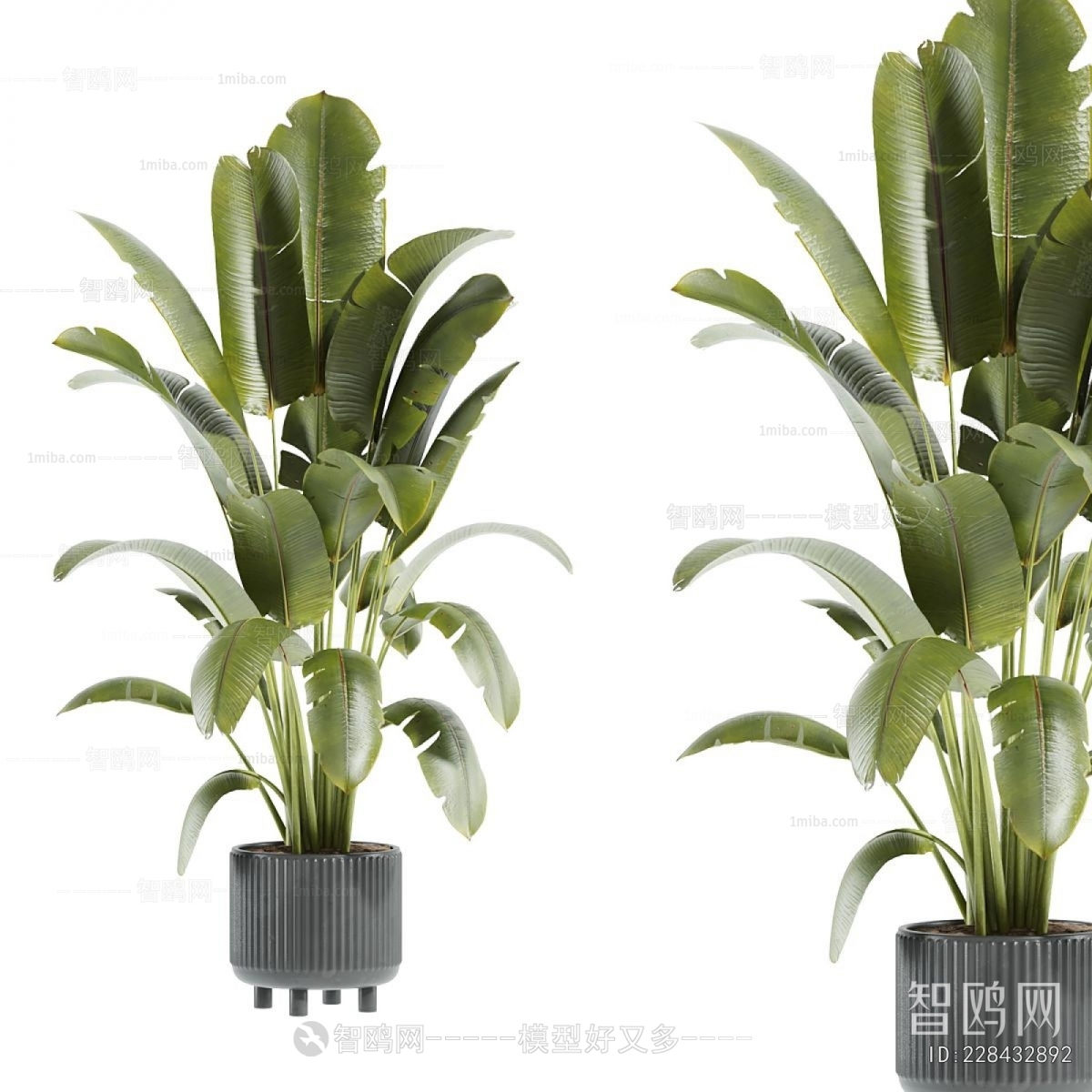 Modern Ground Green Plant Potted Plants