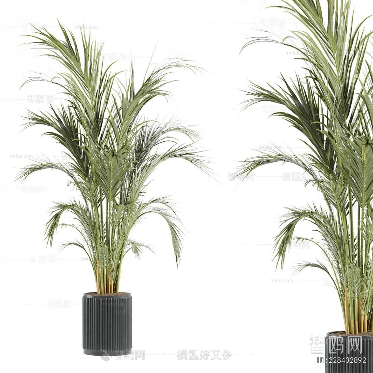 Modern Ground Green Plant Potted Plants