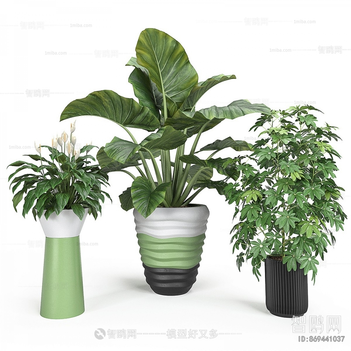 Modern Ground Green Plant Potted Plants