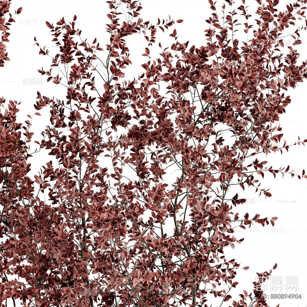 Modern Dried Branch