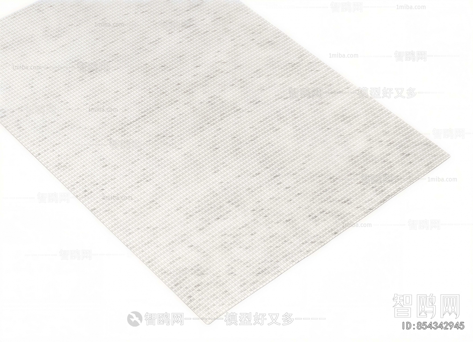 Modern The Carpet