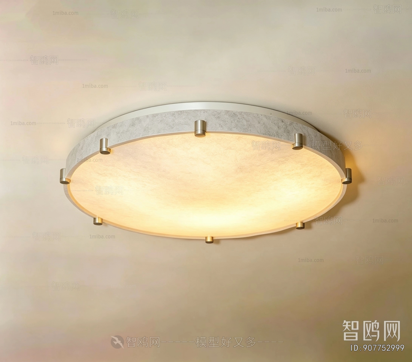 Modern Ceiling Ceiling Lamp