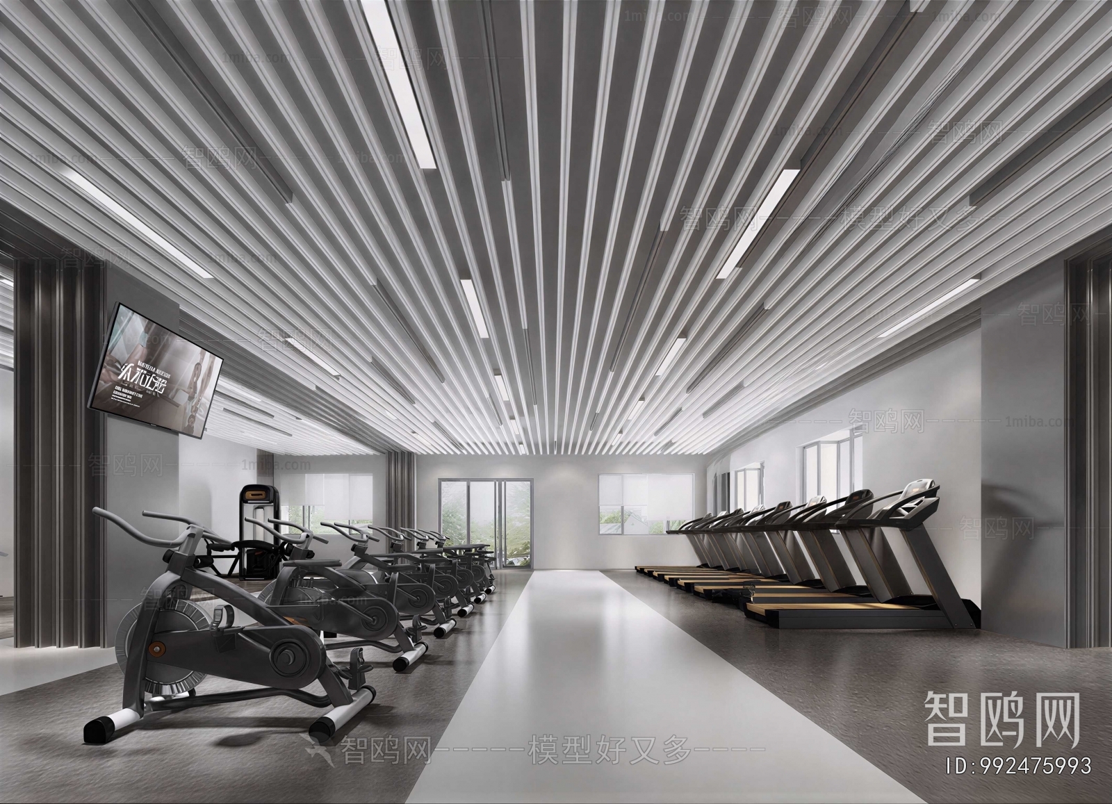 Modern Gym