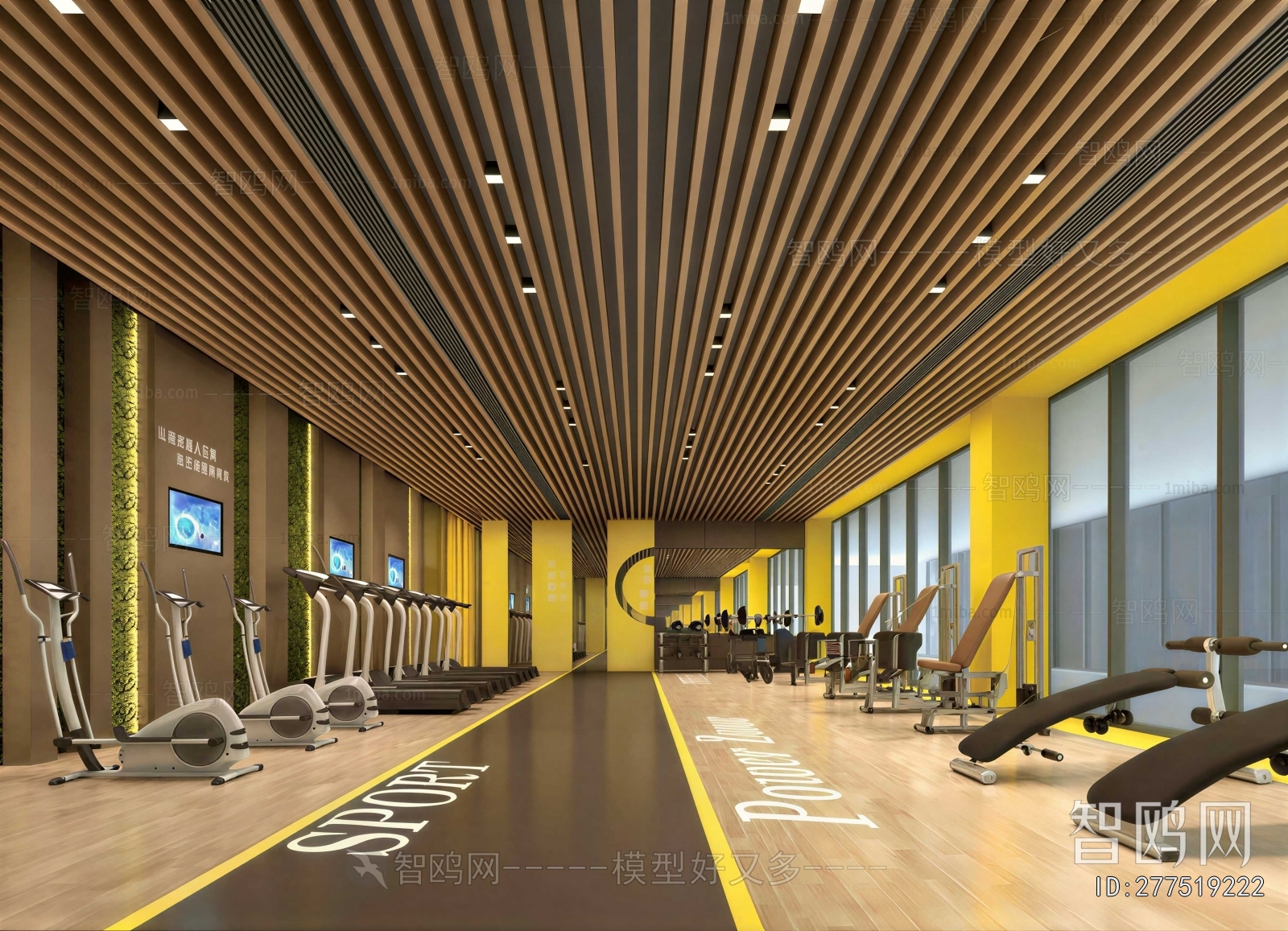 Modern Gym
