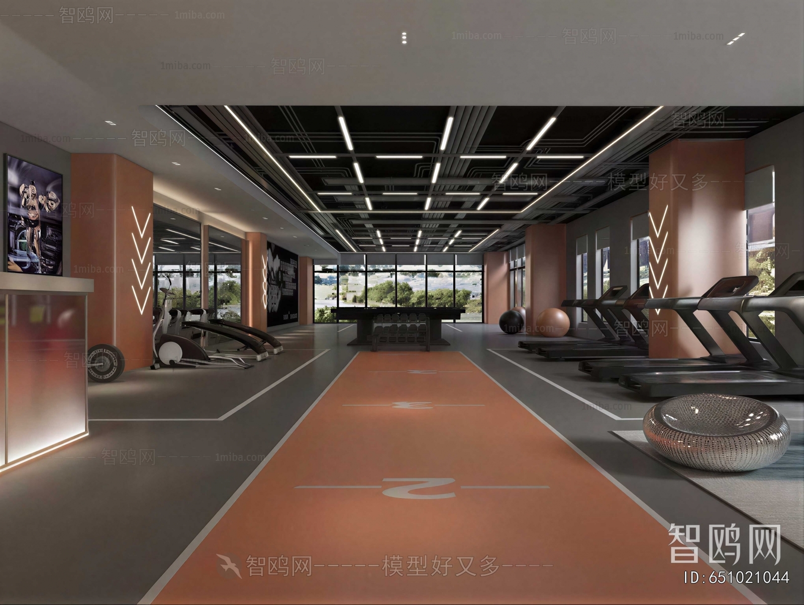 Modern Gym