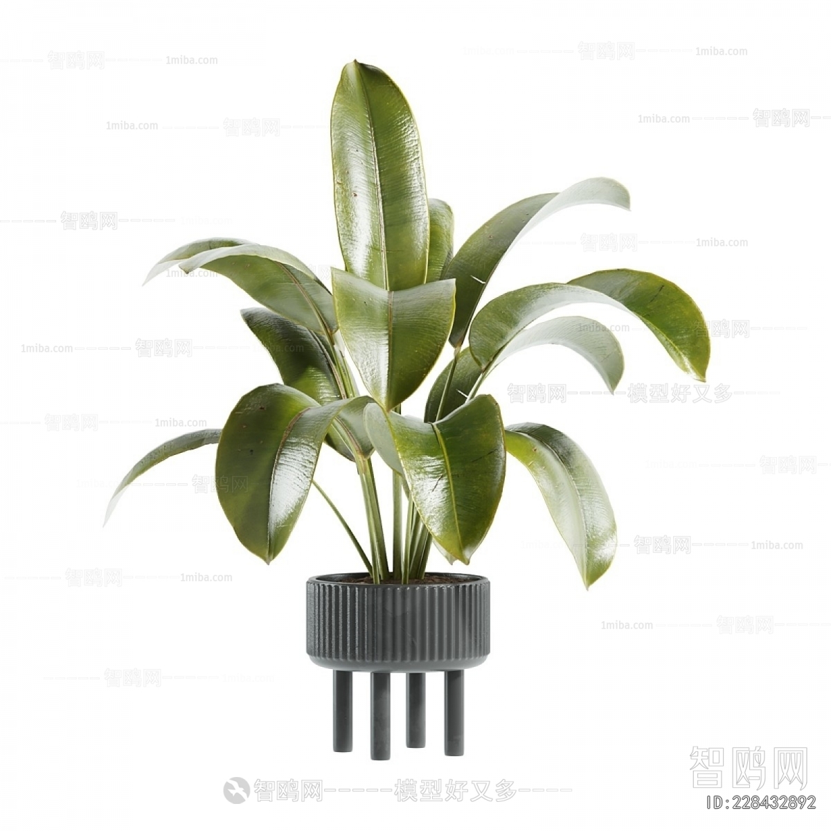Modern Ground Green Plant Potted Plants
