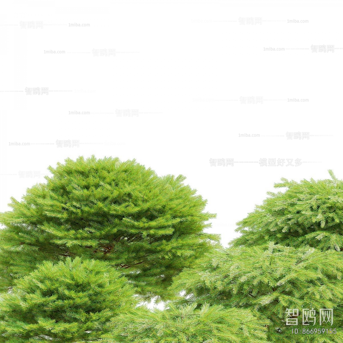 Modern Shrubbery