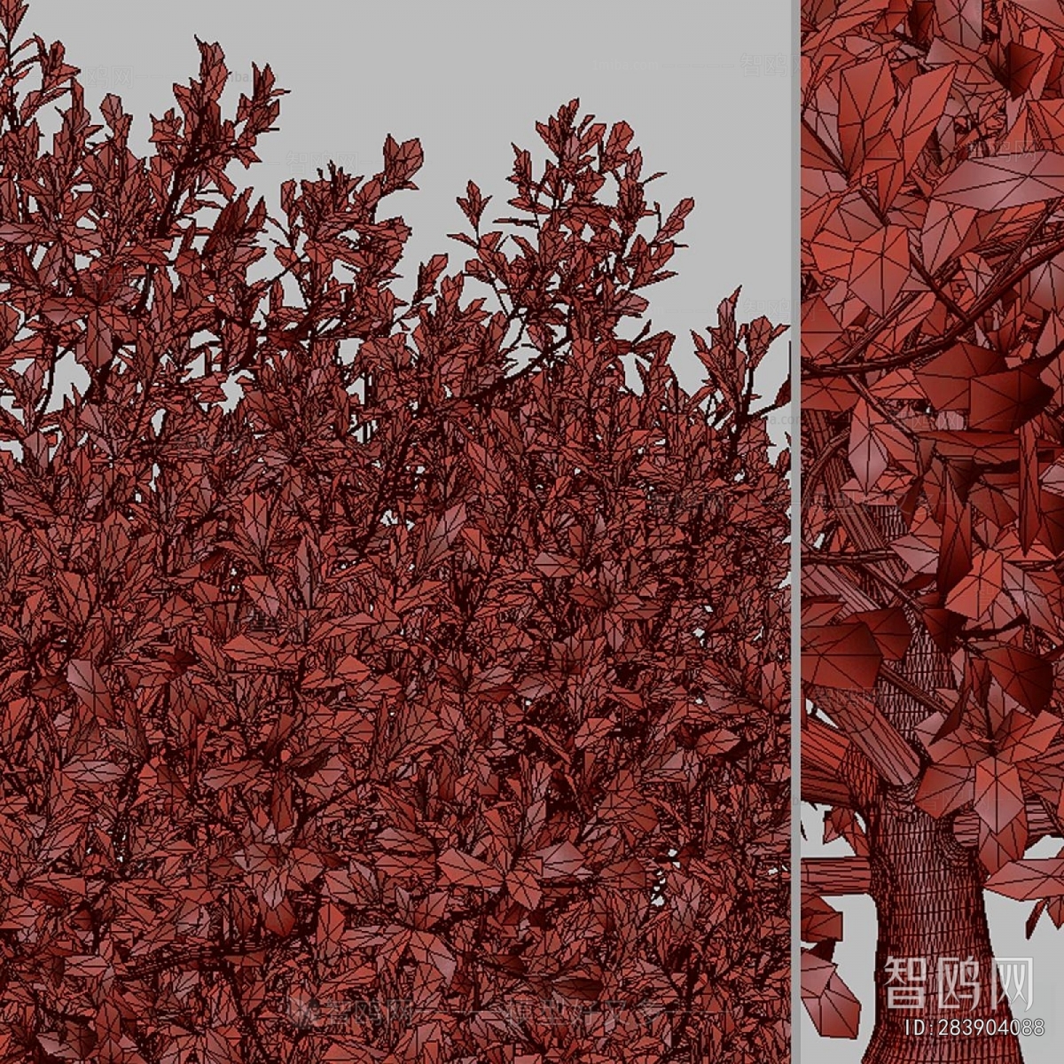Modern Shrubbery