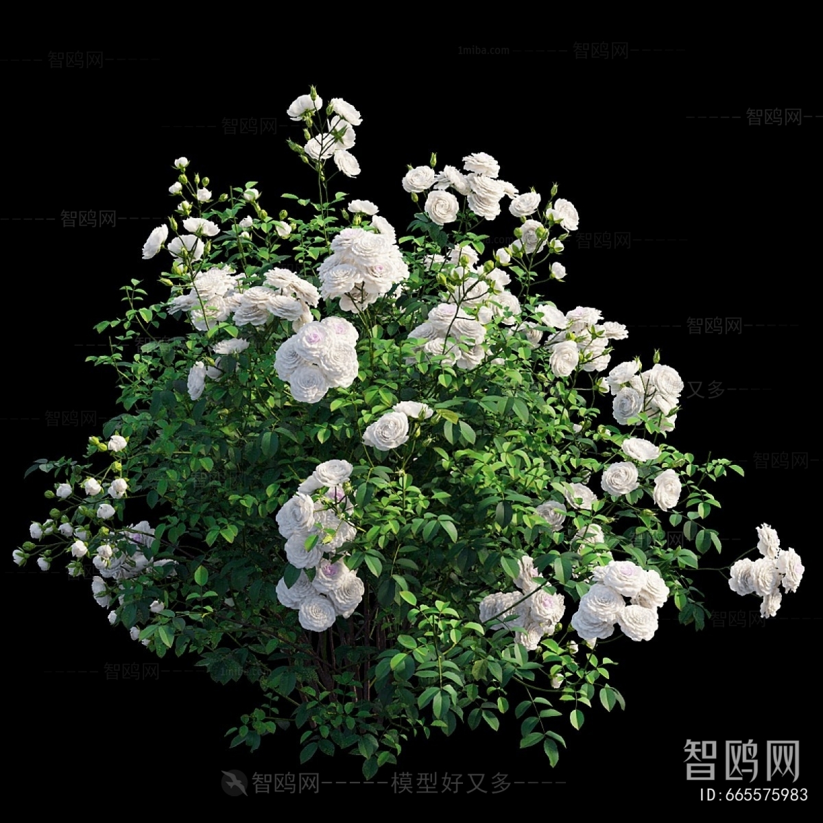 Modern Flowers And Grass