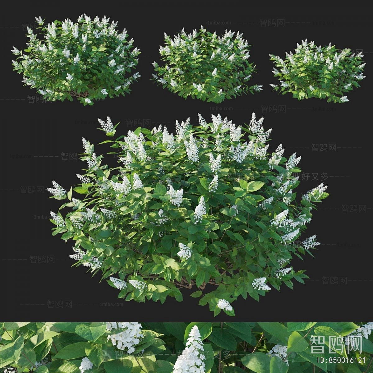 Modern Shrubbery