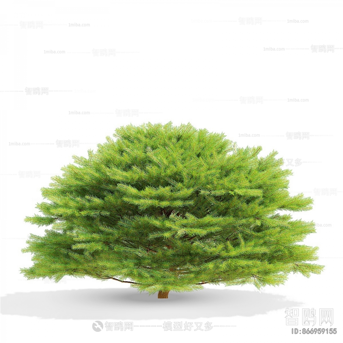 Modern Shrubbery