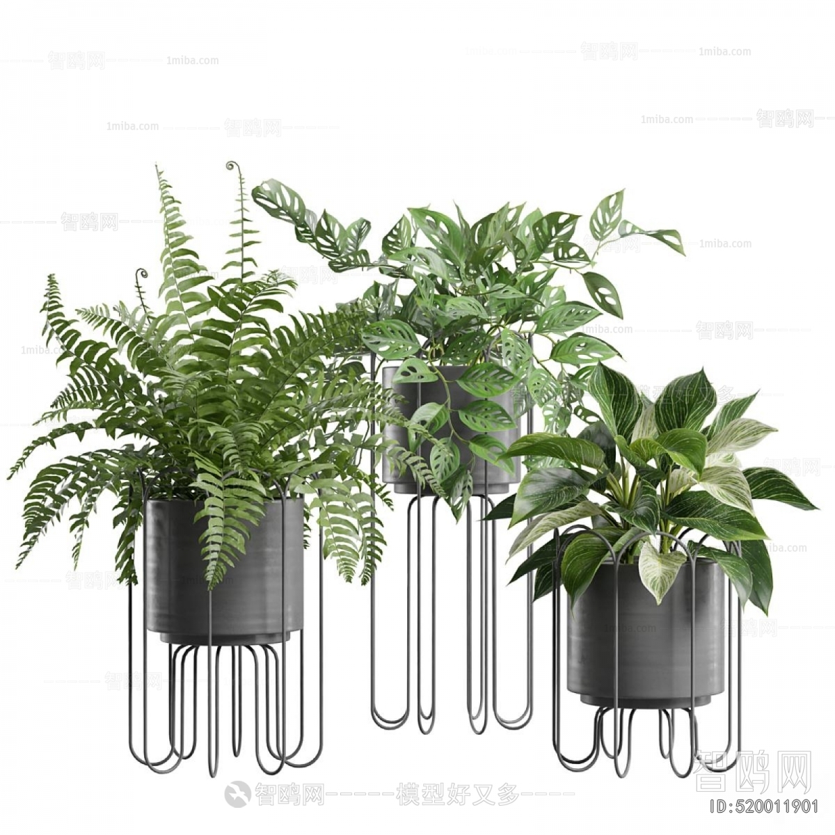 Modern Ground Green Plant Potted Plants