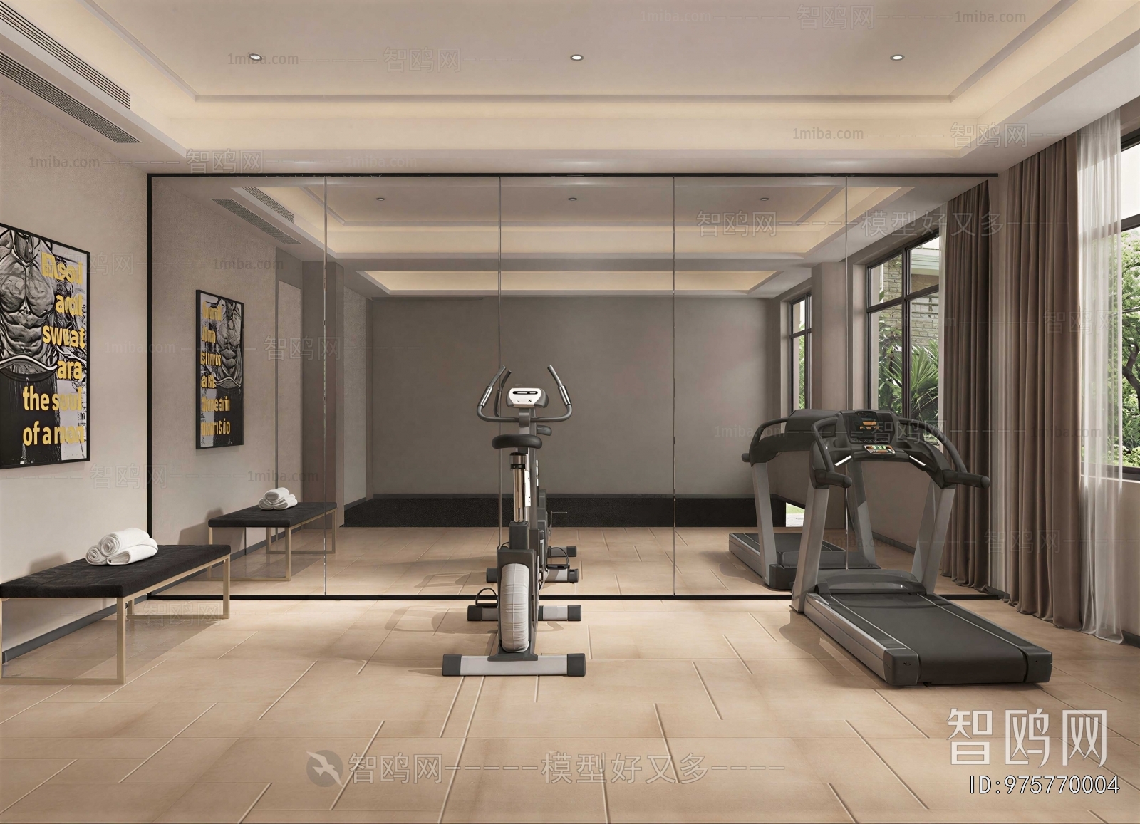 Modern Home Fitness Room