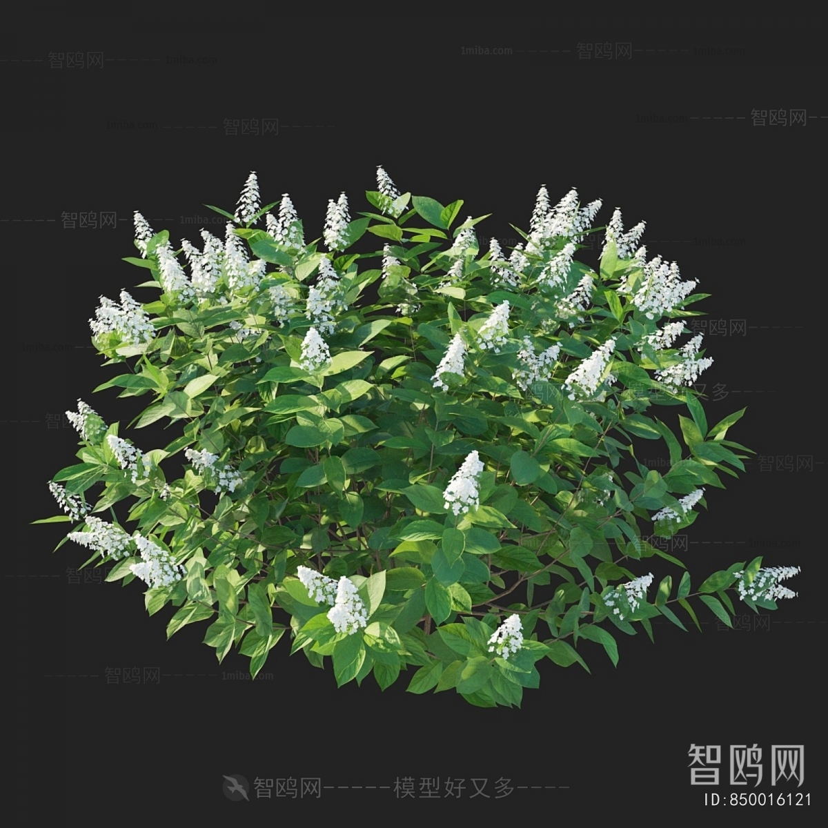 Modern Shrubbery