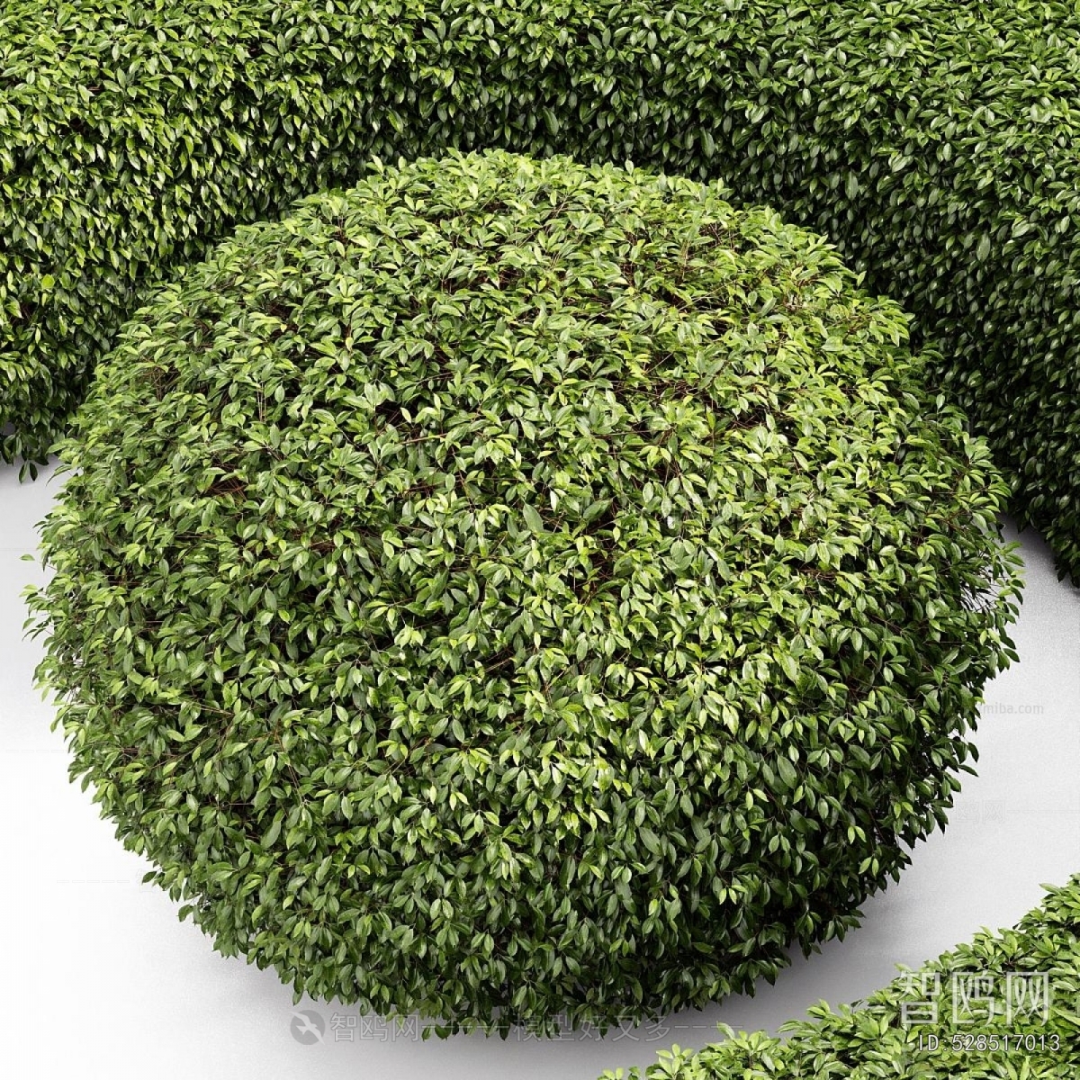 Modern Shrubbery