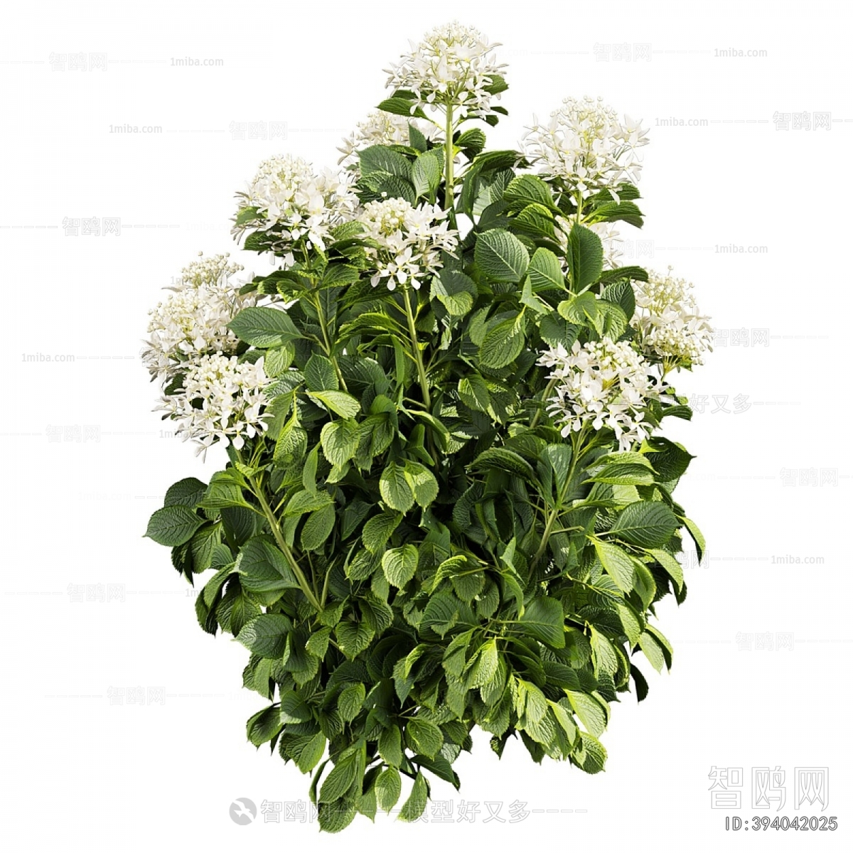 Modern Shrubbery