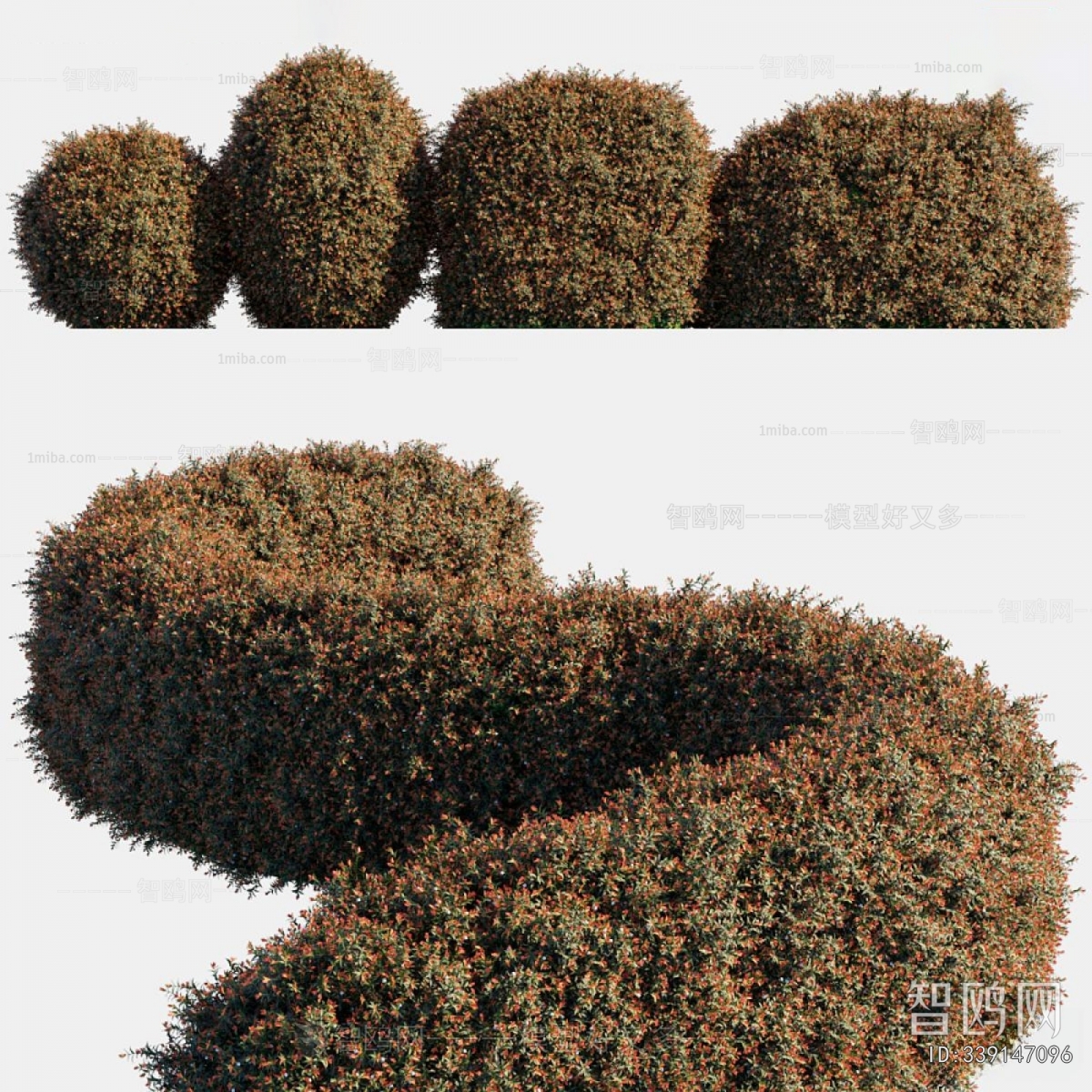 Modern Shrubbery