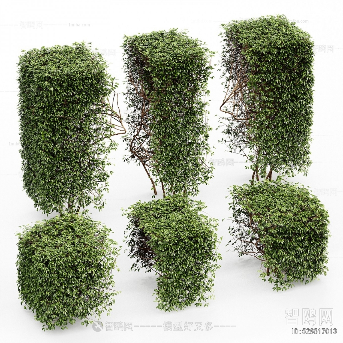 Modern Shrubbery