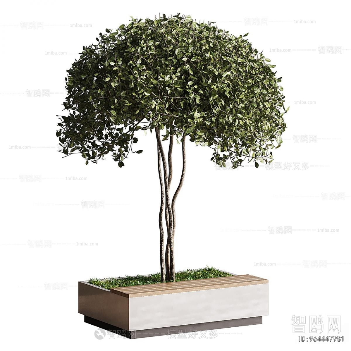 Modern Flower Bed, Flower Bowl, Flower Box
