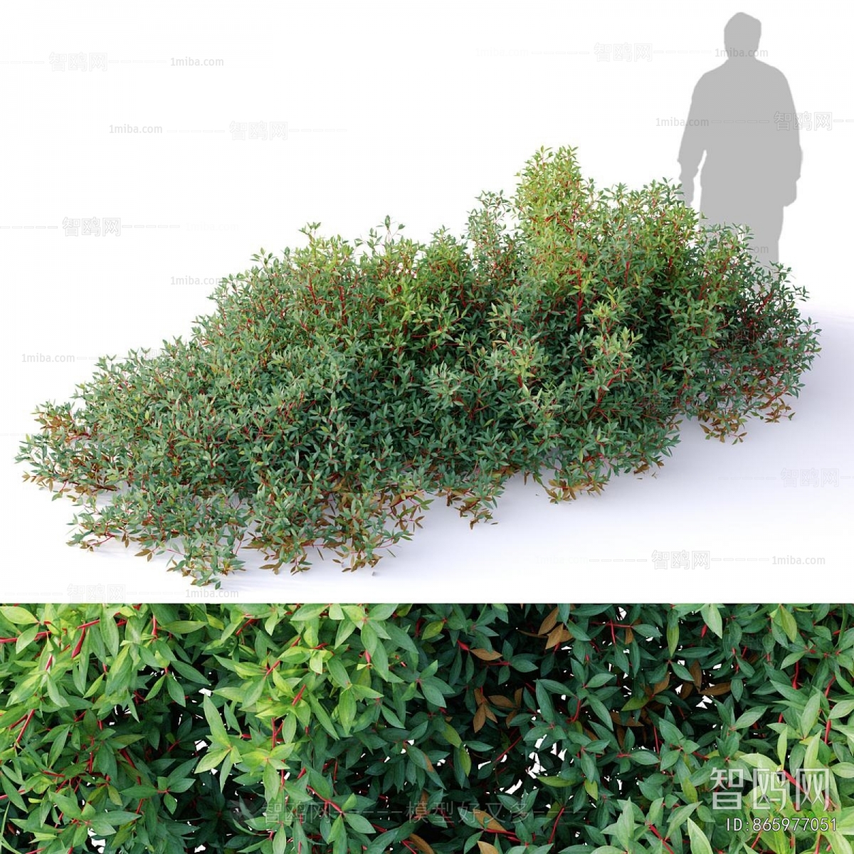 Modern Shrubbery
