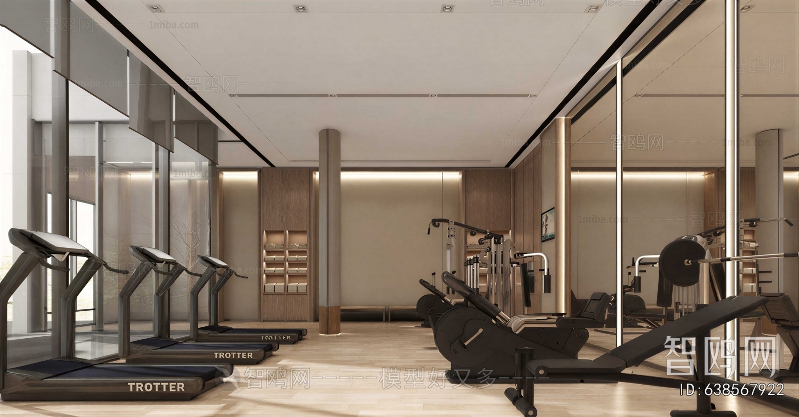 Modern Gym