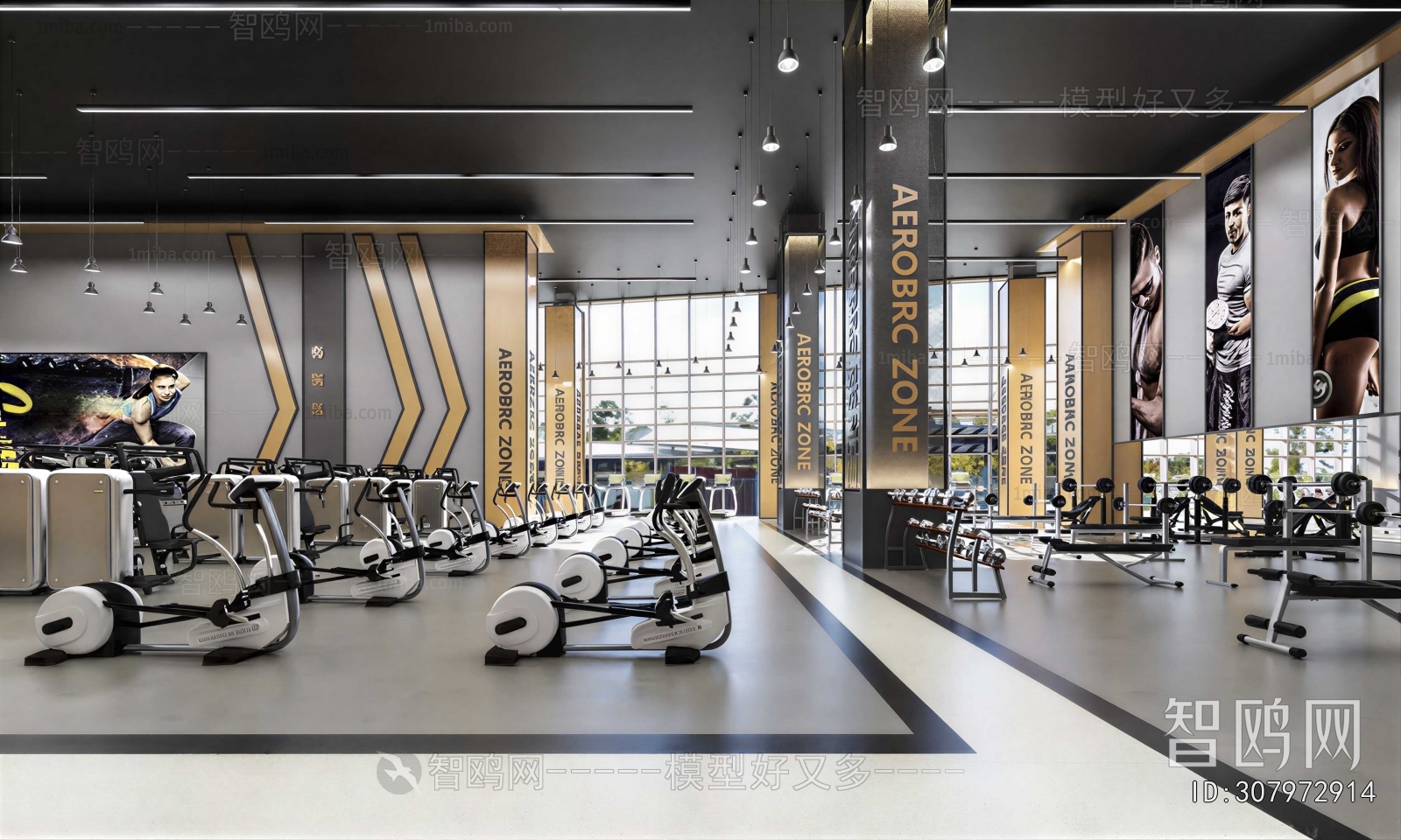 Modern Gym