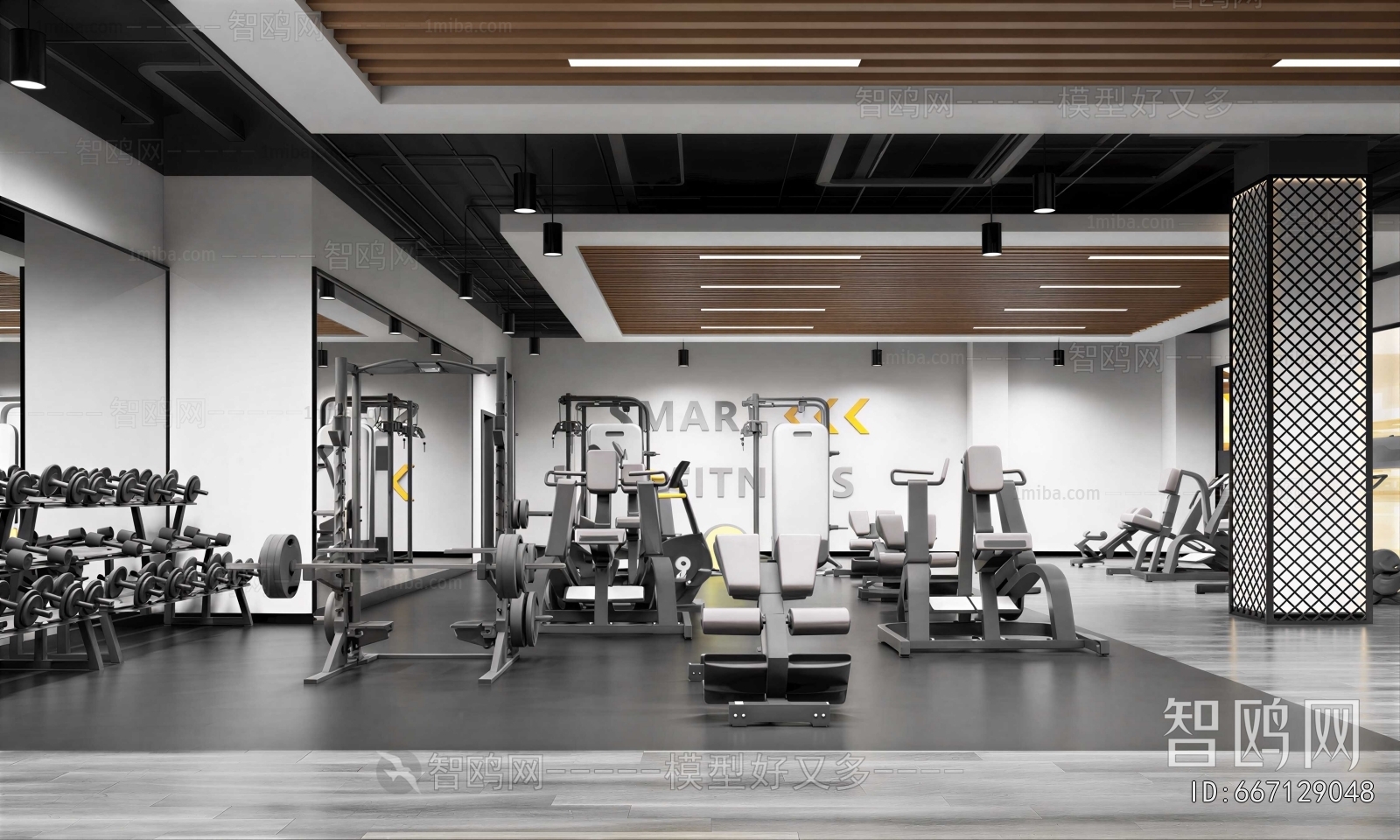 Modern Gym